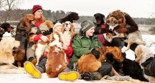 hundbostader stockholm Stockholmshundarna i Ur & Skur