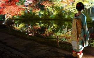 Foto: Kyoto flowertourism, 2016 (CC BY-SA)