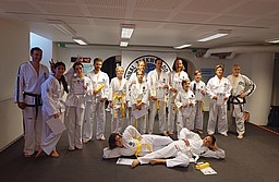 taekwondo klasser stockholm Stockholm Taekwon-Do ITF
