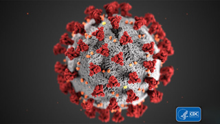 immunforsvarstest stockholm Folkhälsomyndigheten