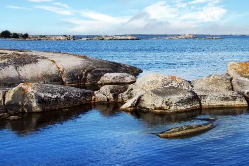 Ge Östersjön en chans – bli fadder