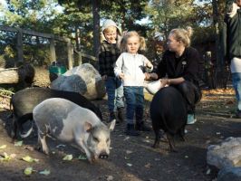 Minidjurvårdare på Lill-Skansen