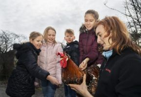 Skola och förskola