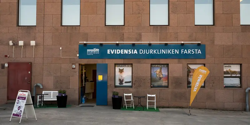 veterinarapotek stockholm Evidensia Djurkliniken Farsta