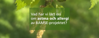 Tre saker vi har lärt oss om astma och allergi genom BAMSE-projektet. Kort intervju med Erik Mel'en, professor och huvudprojektledare för BAMSE-projektet. Starta video 3 korta svar om vad vi lärt oss om astma och allergi genom BAMSE-projektet BAMSE-projektet har sen starten 1994 följt drygt 4000 barn födda 1994-1996. Projektet har gett oss värdefull kunskap om hur livsstil, miljö och arv påverkar barns astma, allergi och lungutveckling.