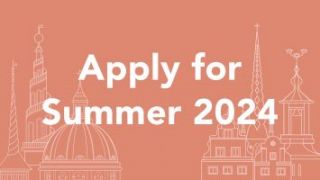 summer schools stockholm DIS Stockholm