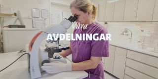 adoptera kanin stockholm Tyresö Djurklinik AB - Veterinär