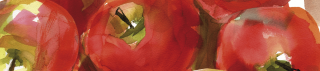social media management specialists stockholm Bernskiold Media
