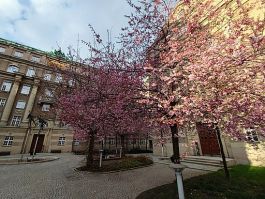 hapkido klasser stockholm Stockholm Taekwon-Do ITF