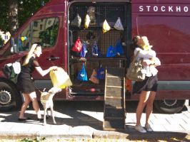 djurhotell stockholm Stockholmshundarna i Ur & Skur